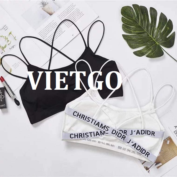 vietgo-xuatkhau-noi-y-sang-An-Do vietgo-xuatkhau-noi-y-sang-An-Do