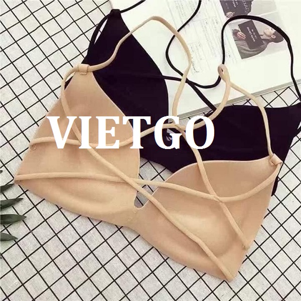 vietgo-xuatkhau-noi-y-sang-An-Do vietgo-xuatkhau-noi-y-sang-An-Do