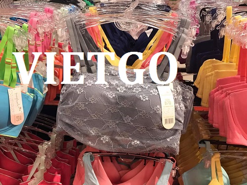 vietgo-xuatkhau-noi-y-sang-An-Do vietgo-xuatkhau-noi-y-sang-An-Do