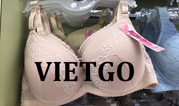 vietgo-xuatkhau-noi-y-sang-An-Do vietgo-xuatkhau-noi-y-sang-An-Do