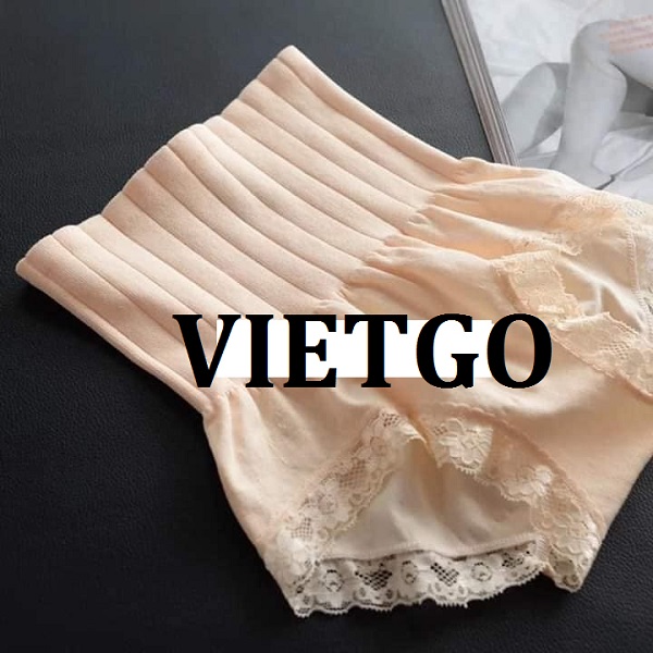 vietgo-xuatkhau-noi-y-sang-An-Do vietgo-xuatkhau-noi-y-sang-An-Do