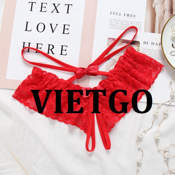 vietgo-xuatkhau-noi-y-sang-An-Do vietgo-xuatkhau-noi-y-sang-An-Do