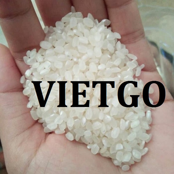 vietgo-xuat-khau-thoc-sang-lybia