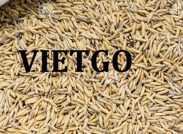 vietgo-xuat-khau-thoc-sang-lybia