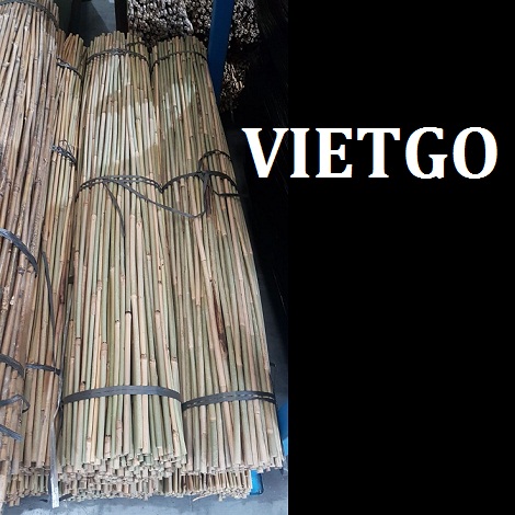 Gay-tre-VIETGO