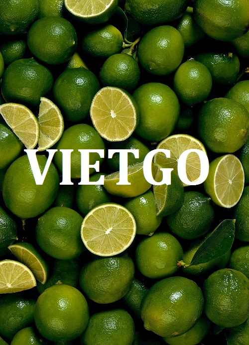 vietgo-xuat-khau-chanh-tuoi-sang-An-Do