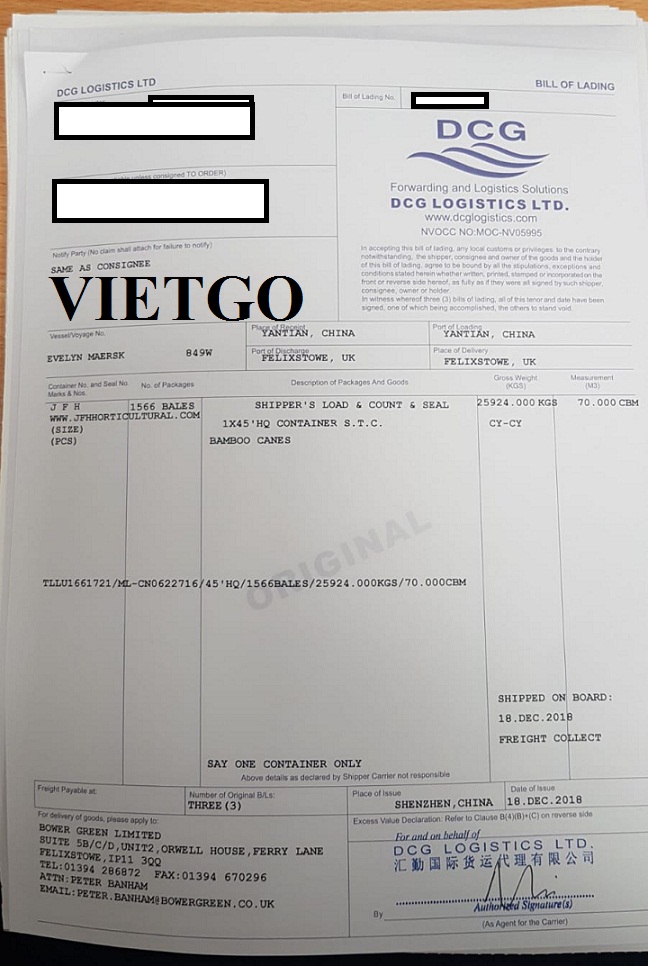 Gay-tre-VIETGO