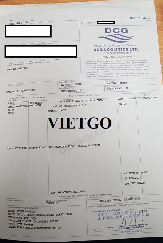 Gay-tre-VIETGO