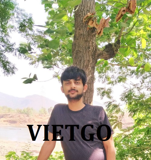 vietgo-xuat-khau-go-teak-xe-sang-An-Do