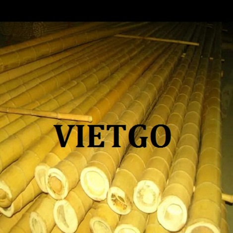 Gay-tre-VIETGO