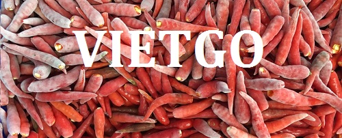 vietgo-xuat-khau-ot-tuoi