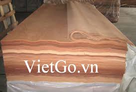 VIETGO-vanboc-2708