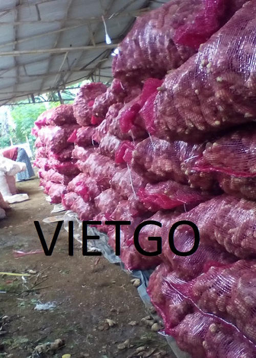 viet-go-xuat-khau-gung-den-bangladesh viet-go-xuat-khau-gung-den-bangladesh