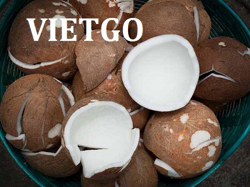 Cùi dừa - VIETGO Cùi dừa - VIETGO