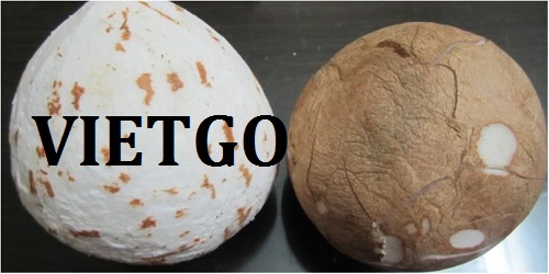 Cùi dừa - VIETGO Cùi dừa - VIETGO