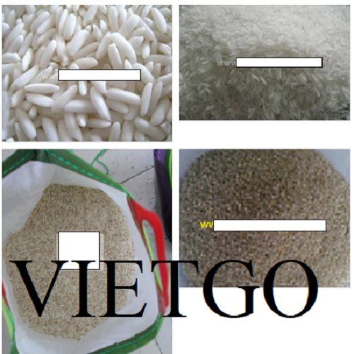 Cùi dừa - VIETGO Cùi dừa - VIETGO