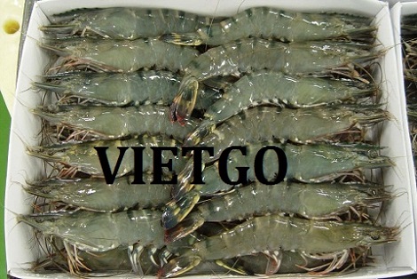 Tôm sú - VIETGO
