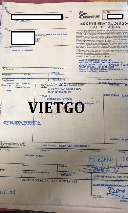 ván mdf- VIETGO