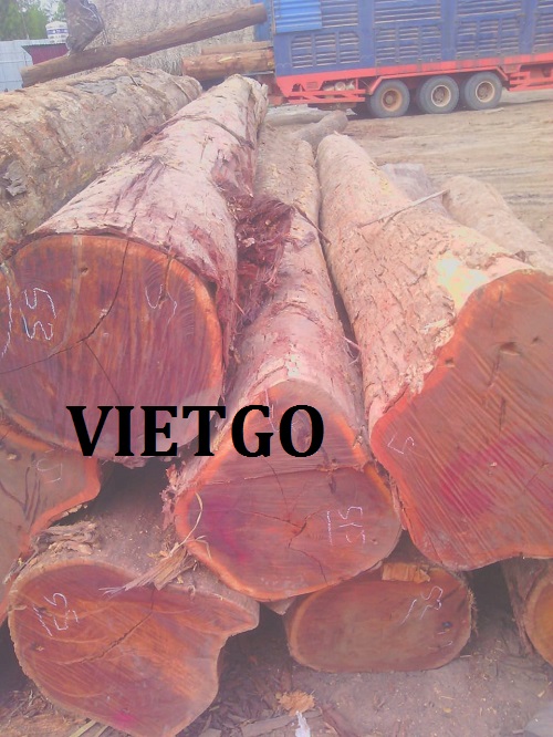 Gỗ căm xe tròn - VIETGO