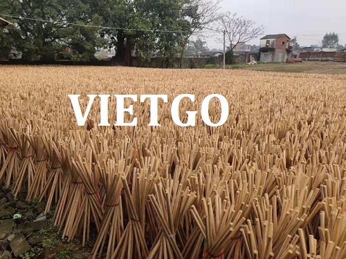 Cán chổi - VIETGO