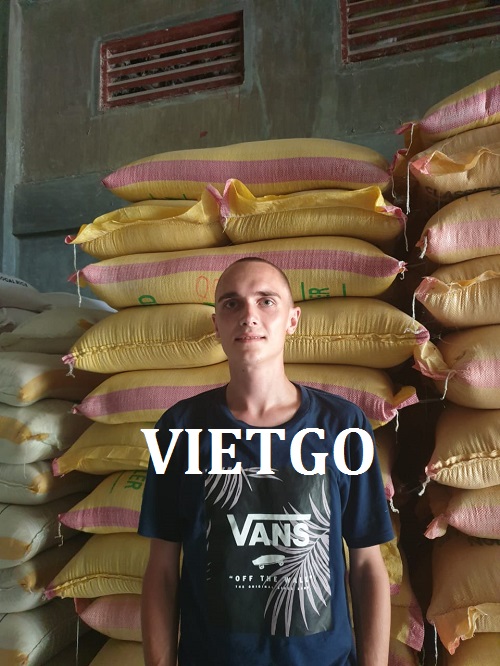 Gạo trắng hạt dài - VIETGO