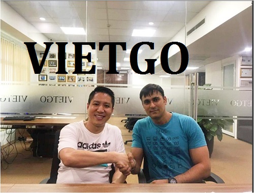 Cốc giấy - VIETGO