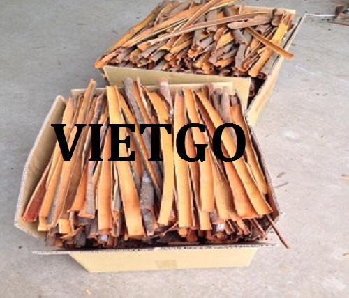 Quế - VIETGO