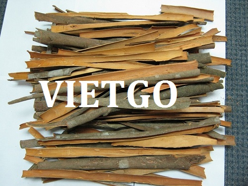 Quế - VIETGO