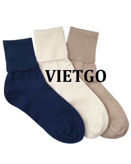 Bít tất - VIETGO