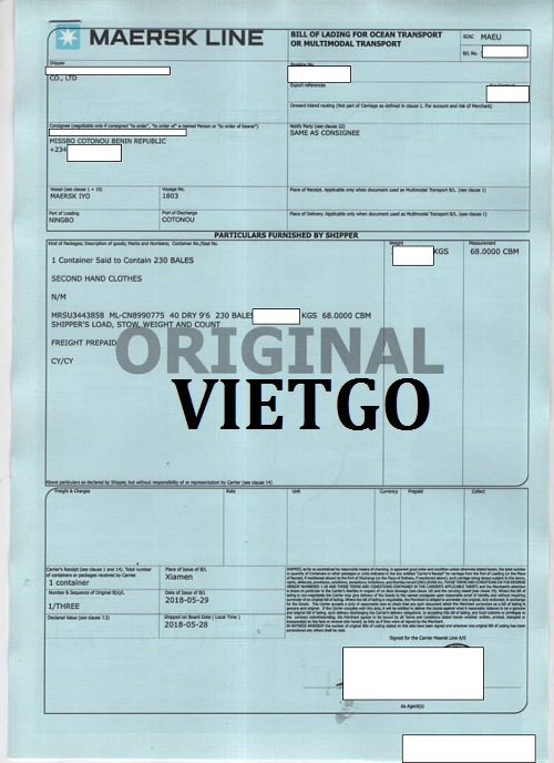 hành tím - VIETGO