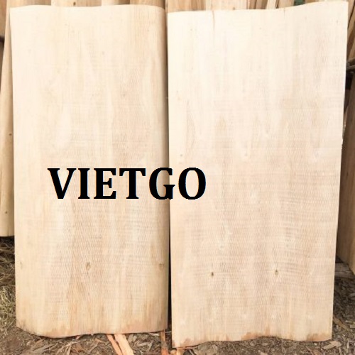 ván bóc bạch đàn - VIETGO