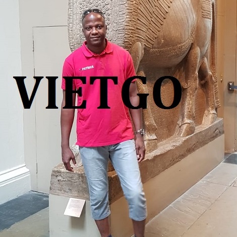 Tinh bột sắn - VIETGO