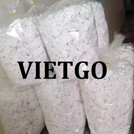 Tinh bột sắn - VIETGO