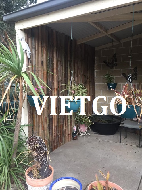 Gậy tre - VIETGO Gậy tre - VIETGO