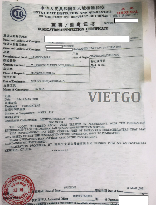 Gậy tre - VIETGO Gậy tre - VIETGO