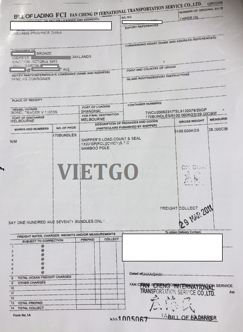 Gậy tre - VIETGO Gậy tre - VIETGO