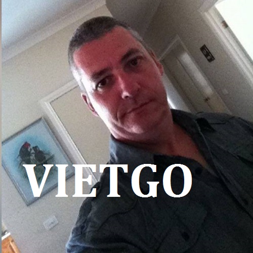 Gậy tre - VIETGO Gậy tre - VIETGO