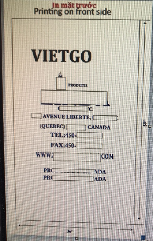 túi pp - VIETGO