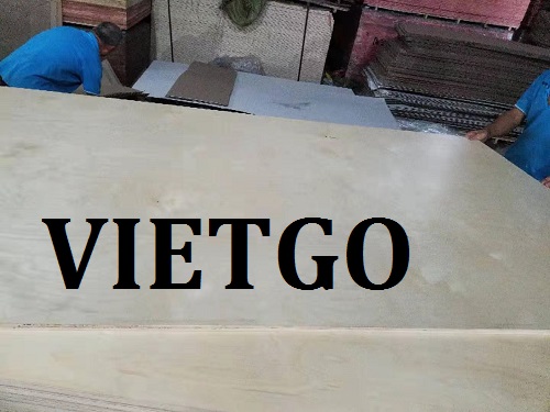 ván mdf- VIETGO