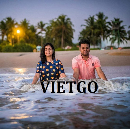 ván bóc bạch đàn - VIETGO