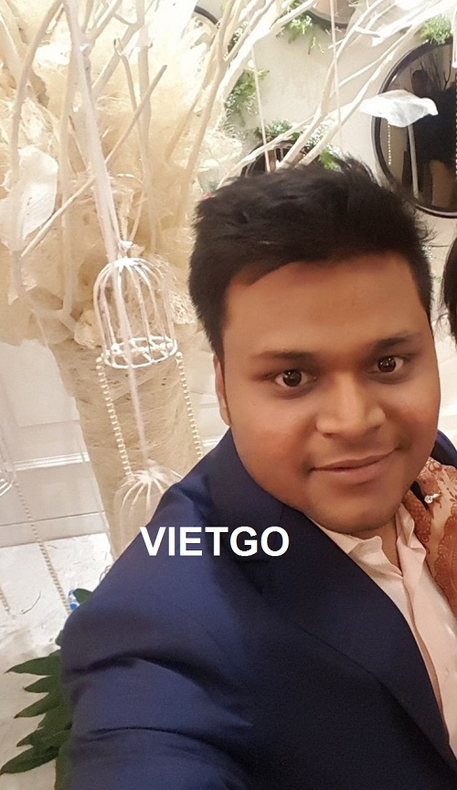 ván bóc bạch đàn - VIETGO