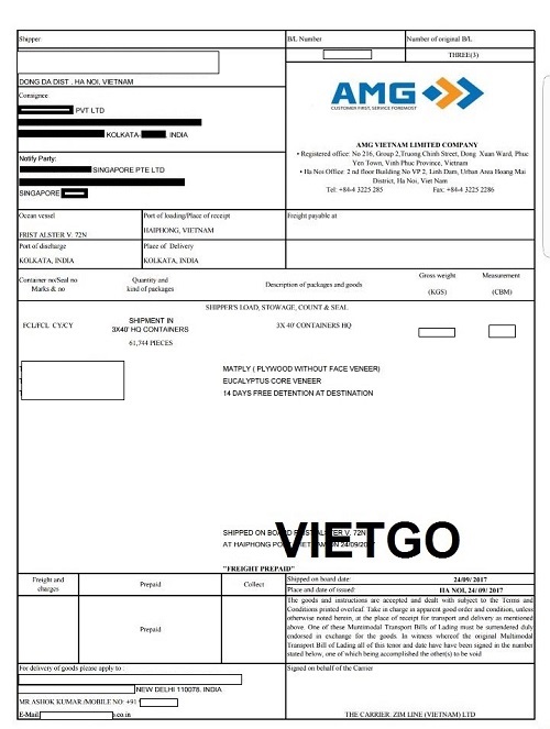 ván bóc bạch đàn - VIETGO