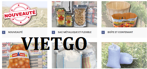 túi pp - VIETGO