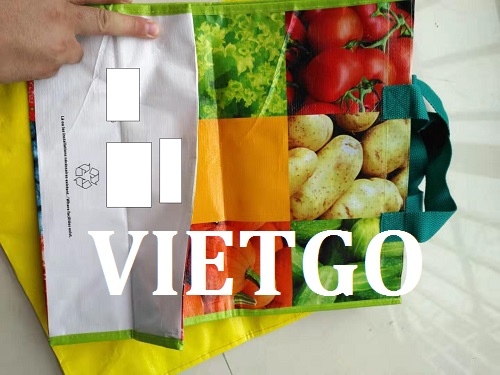 túi pp - VIETGO