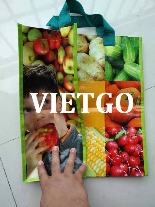 túi pp - VIETGO