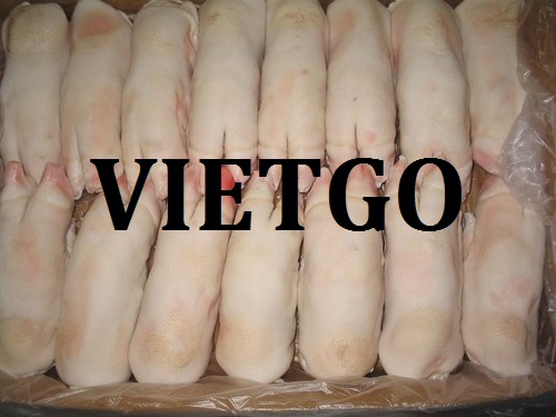 Móng heo - VIETGO
