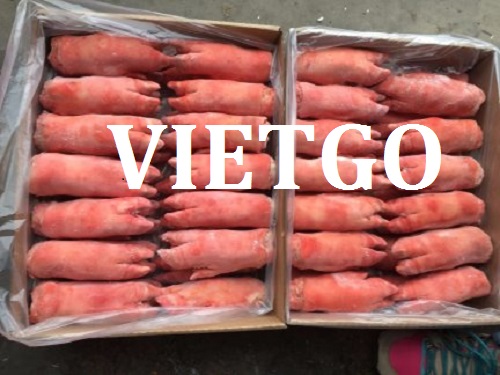 Móng heo - VIETGO