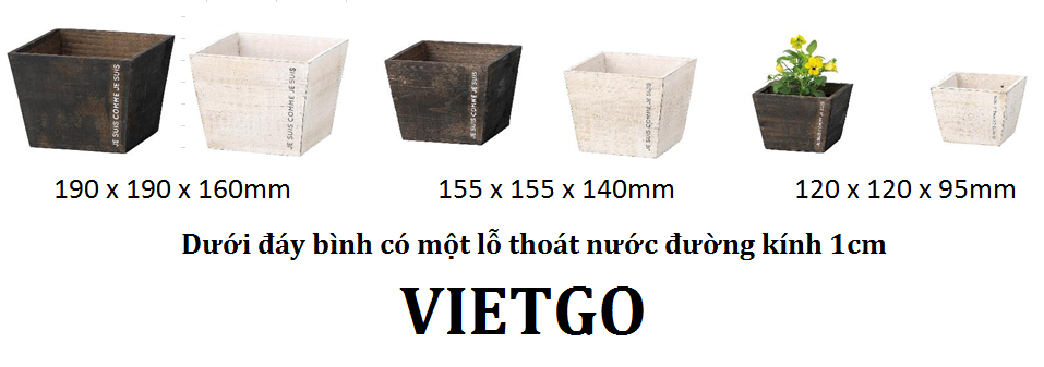 Chậu cây - VIETGO