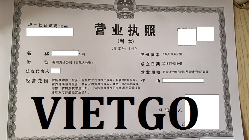 Móng heo - VIETGO