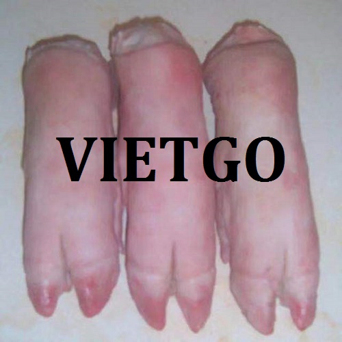 Móng heo - VIETGO
